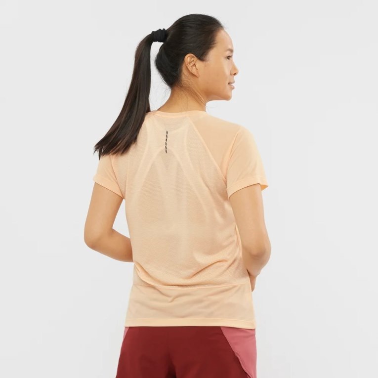 Camiseta Salomon Cross Rebel Corta Sleeve Mujer Albaricoque | MX LUJN482